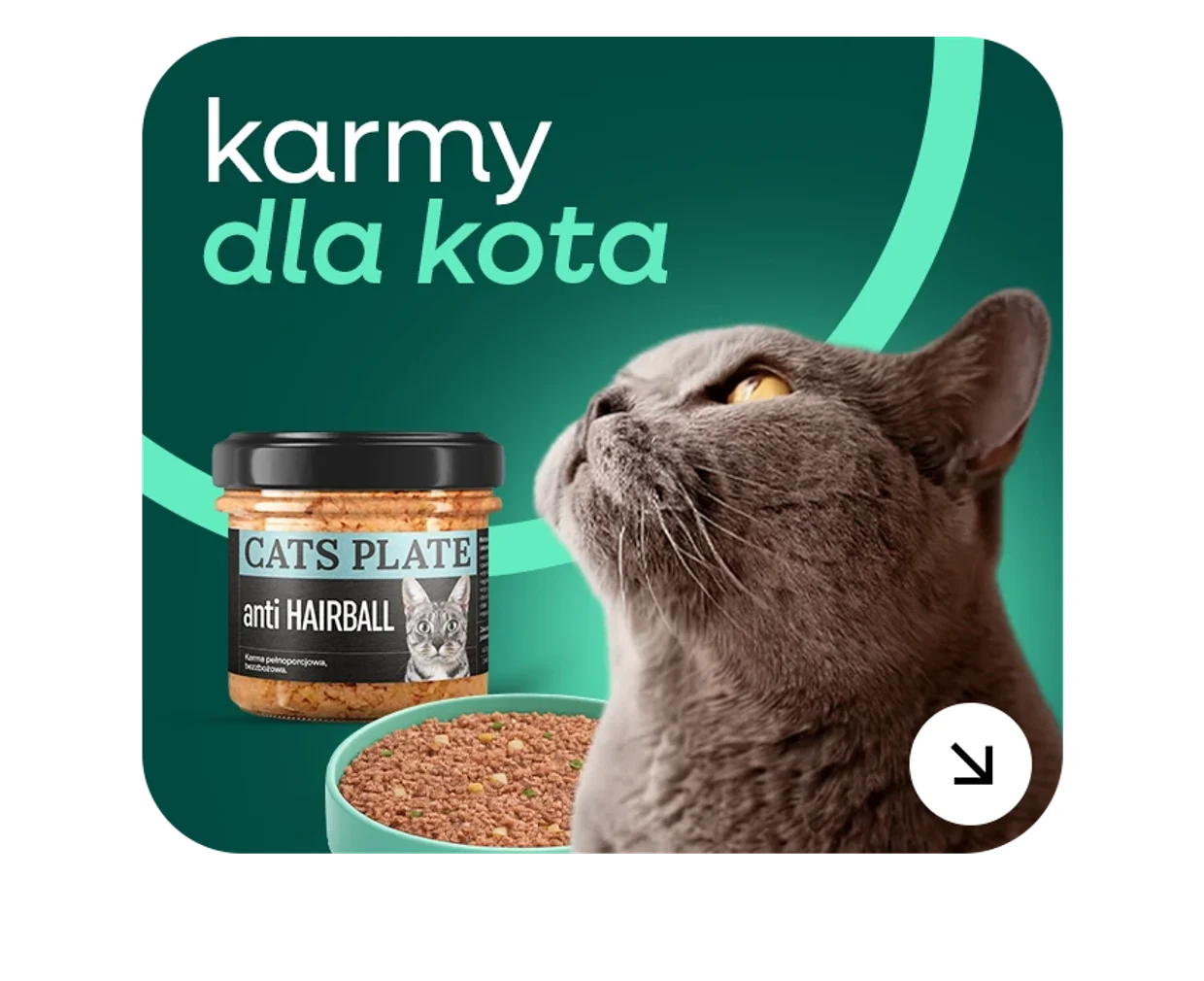 Karmy premium dla kota na CzystaKarma.pl