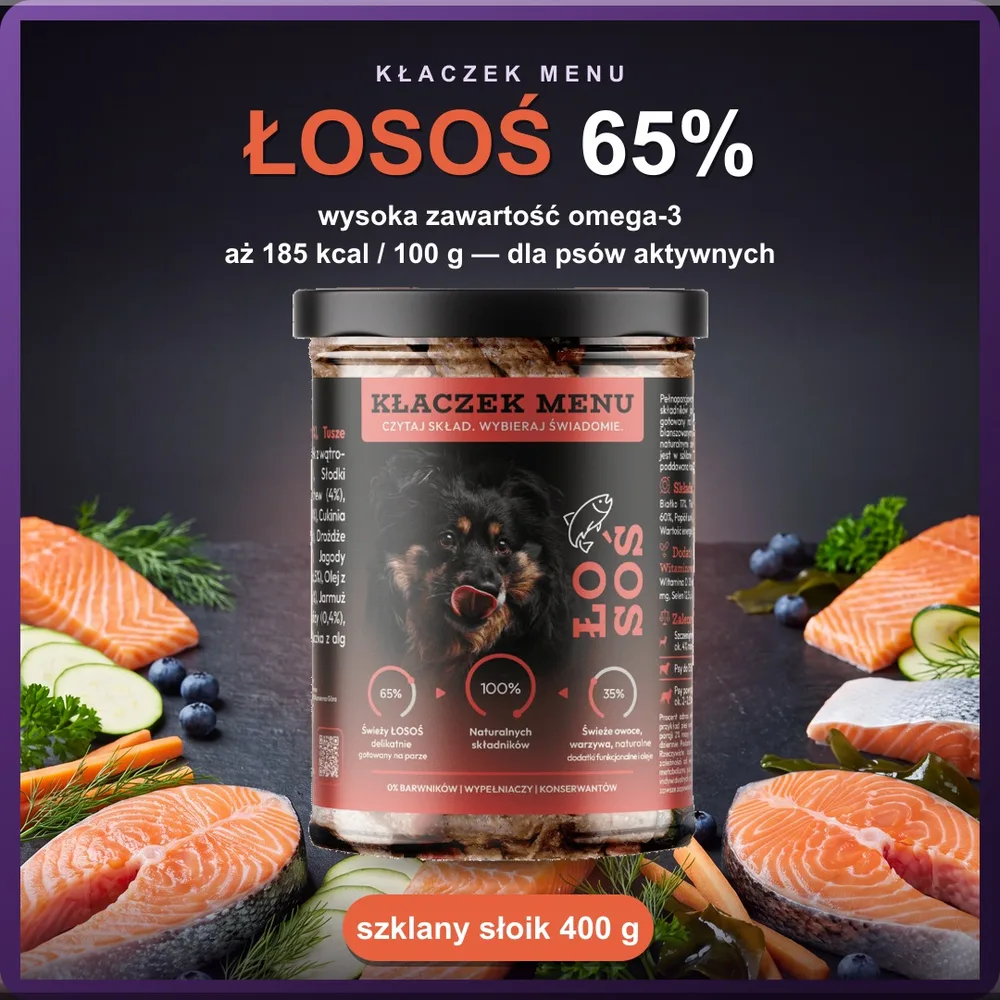 Kłaczek Menu Łosoś 400 g — mokra karma dla psa w szklanym słoiku, 65% mięsa