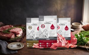 Karma Platinum jagnięcina, wołowina czy Iberico — porównanie
